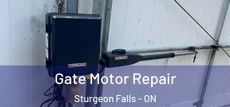 Gate Motor Repair Sturgeon Falls - ON