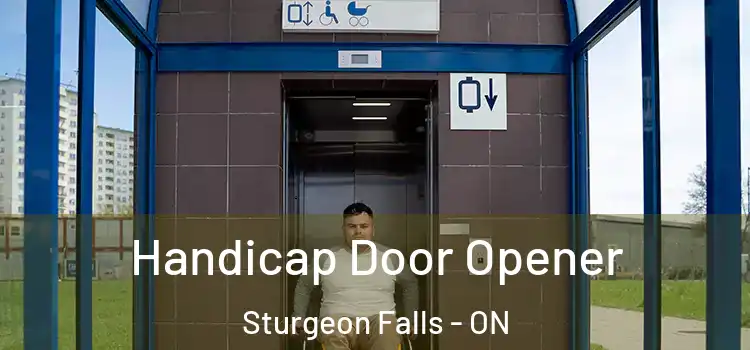 Handicap Door Opener Sturgeon Falls - ON