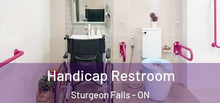 Handicap Restroom Sturgeon Falls - ON