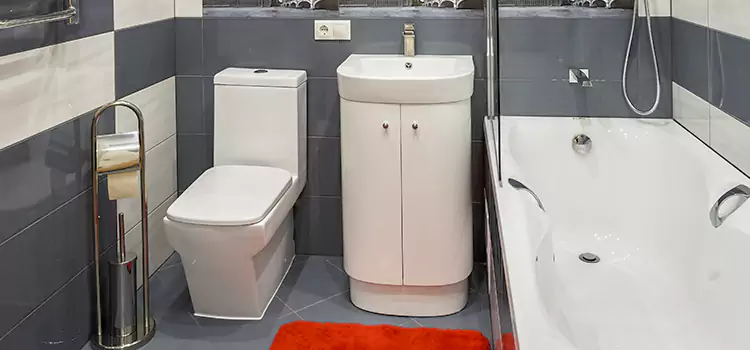 Hansgrohe Shaving Mirror Sturgeon Falls