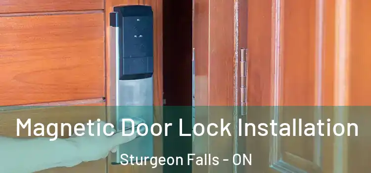  Magnetic Door Lock Installation Sturgeon Falls - ON