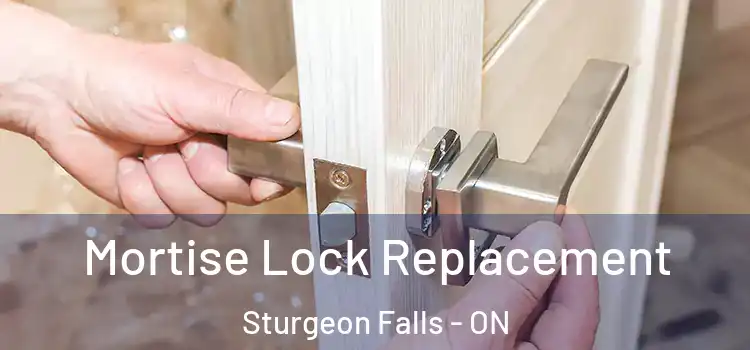Mortise Lock Replacement Sturgeon Falls - ON