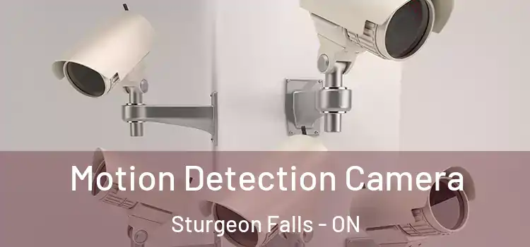  Motion Detection Camera Sturgeon Falls - ON