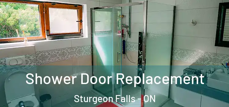Shower Door Replacement Sturgeon Falls - ON