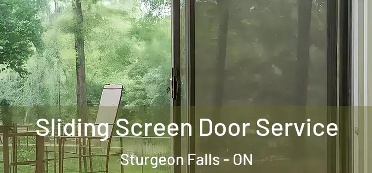  Sliding Screen Door Service Sturgeon Falls - ON